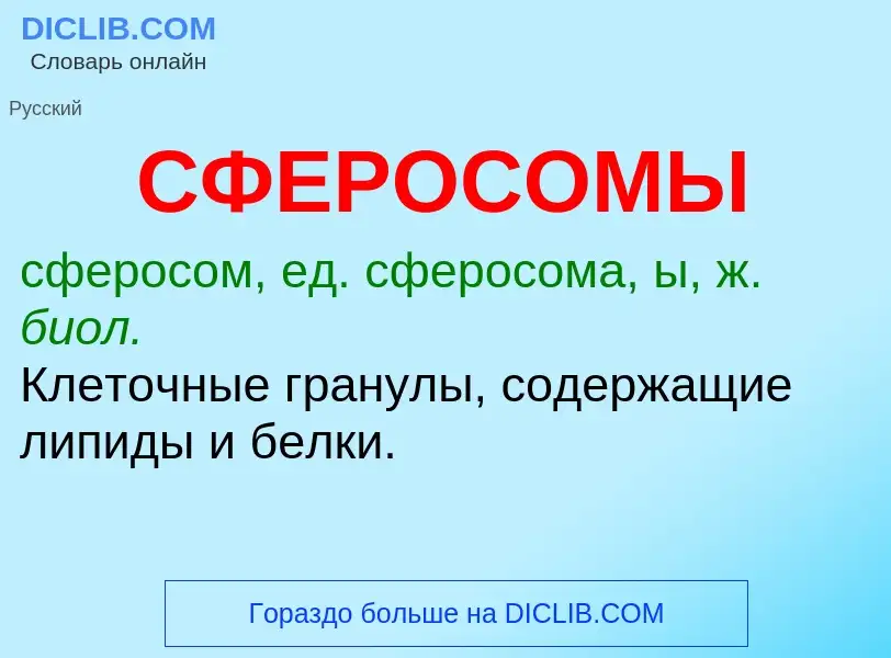 O que é СФЕРОСОМЫ - definição, significado, conceito