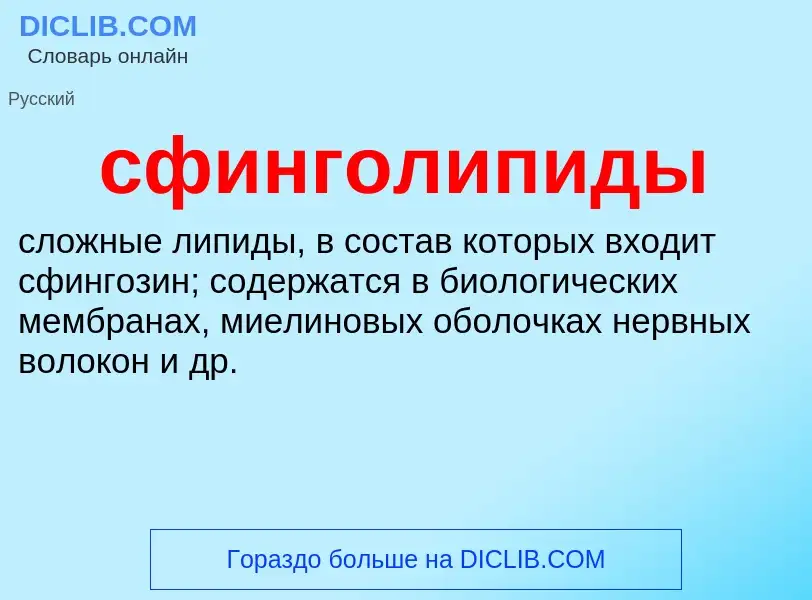 ¿Qué es сфинголипиды? - significado y definición