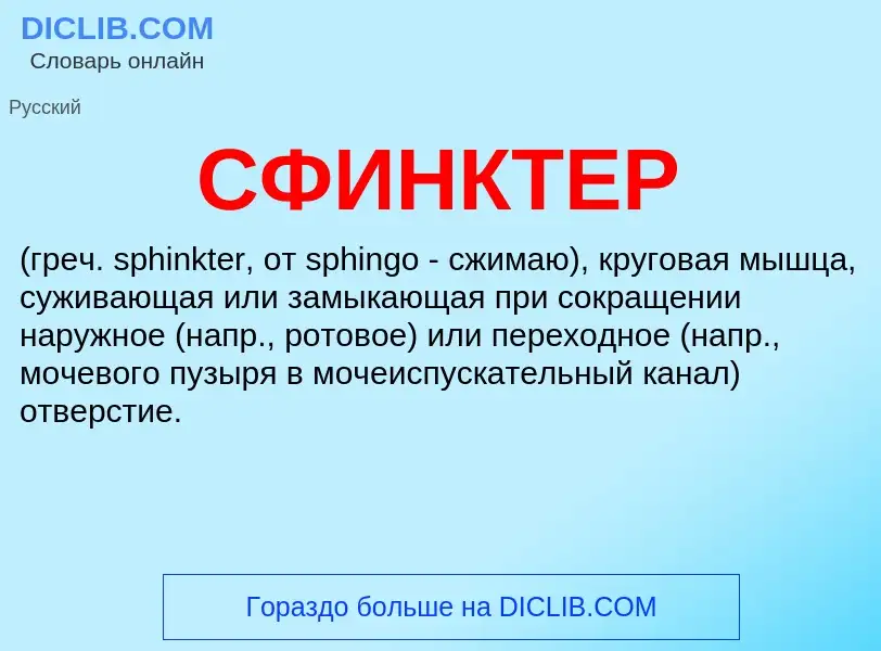 What is СФИНКТЕР - definition