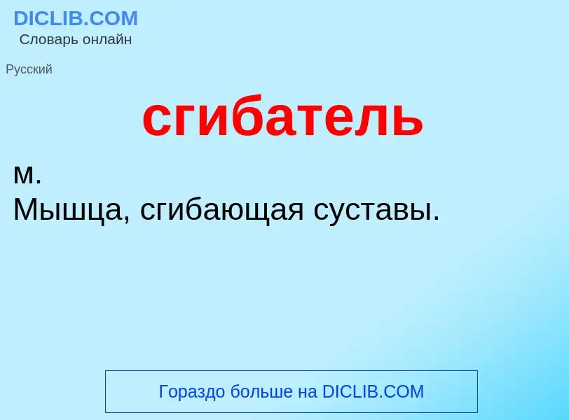 ¿Qué es сгибатель? - significado y definición