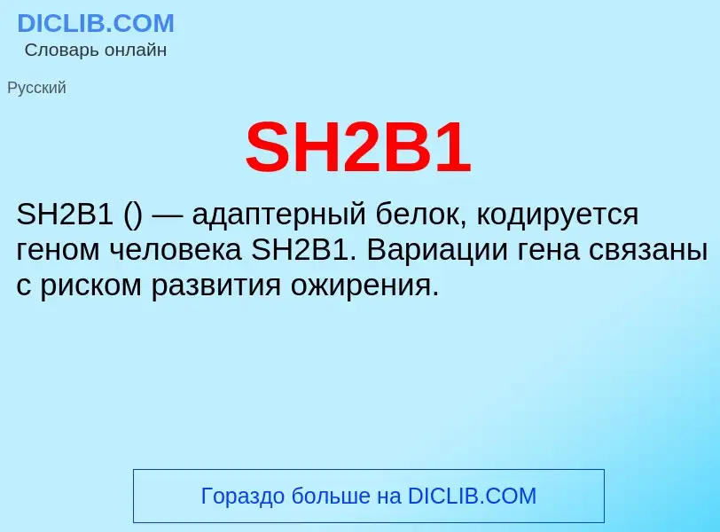 Τι είναι SH2B1 - ορισμός