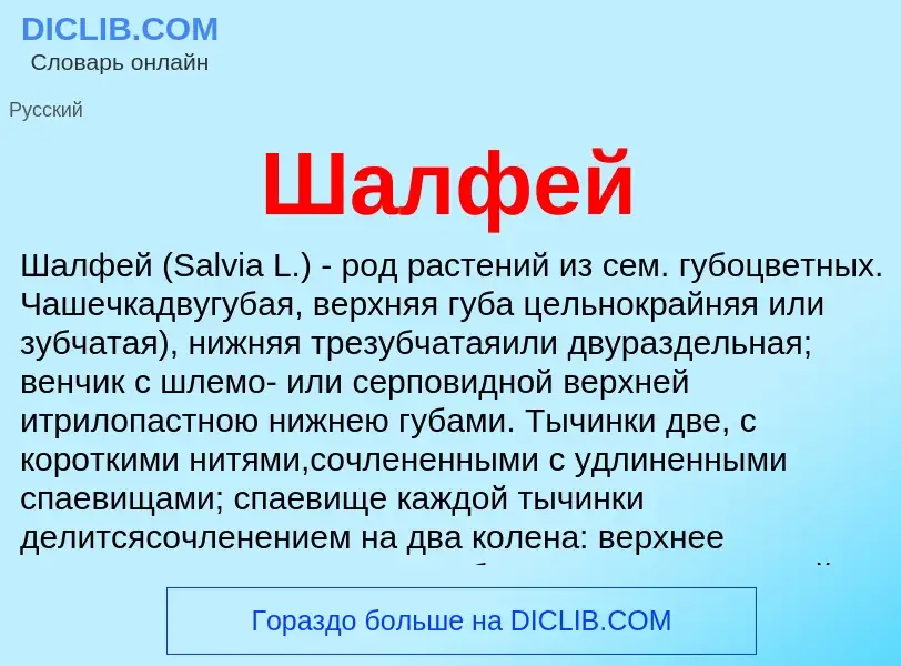 ¿Qué es Шалфей? - significado y definición