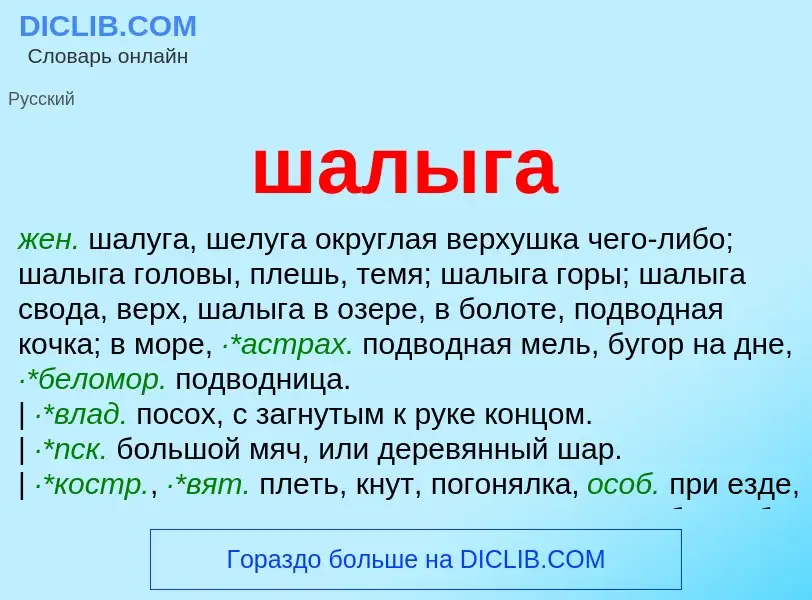 What is шалыга - meaning and definition