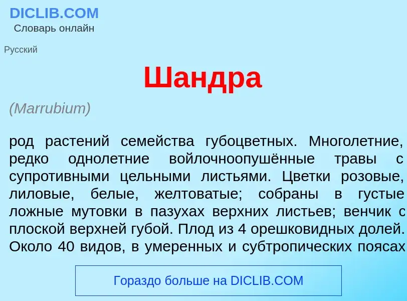 Что такое Ш<font color="red">а</font>ндра - определение