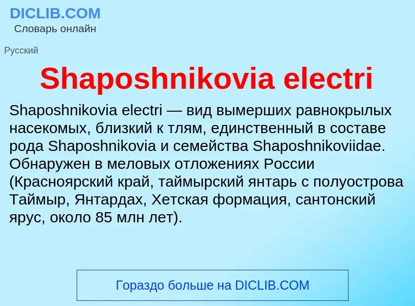 Che cos'è Shaposhnikovia electri - definizione