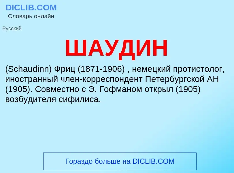 What is ШАУДИН - meaning and definition