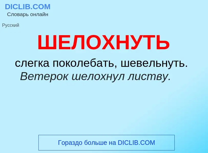 O que é ШЕЛОХНУТЬ - definição, significado, conceito