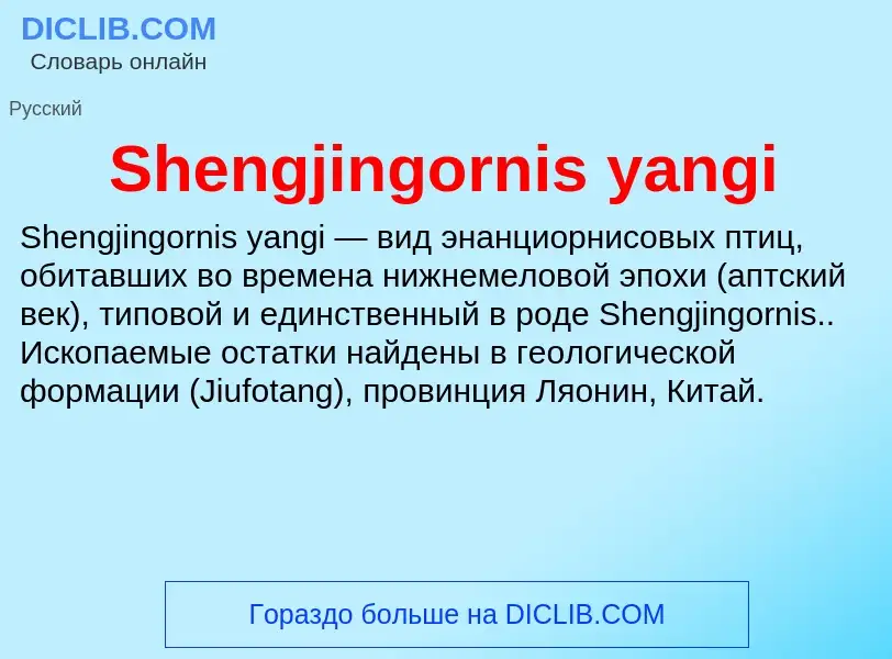 Che cos'è Shengjingornis yangi - definizione