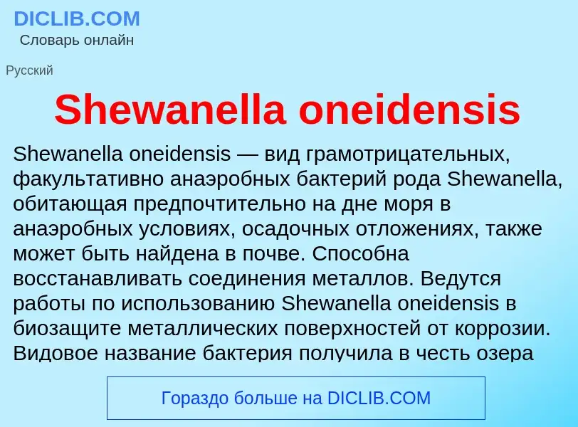 Che cos'è Shewanella oneidensis - definizione