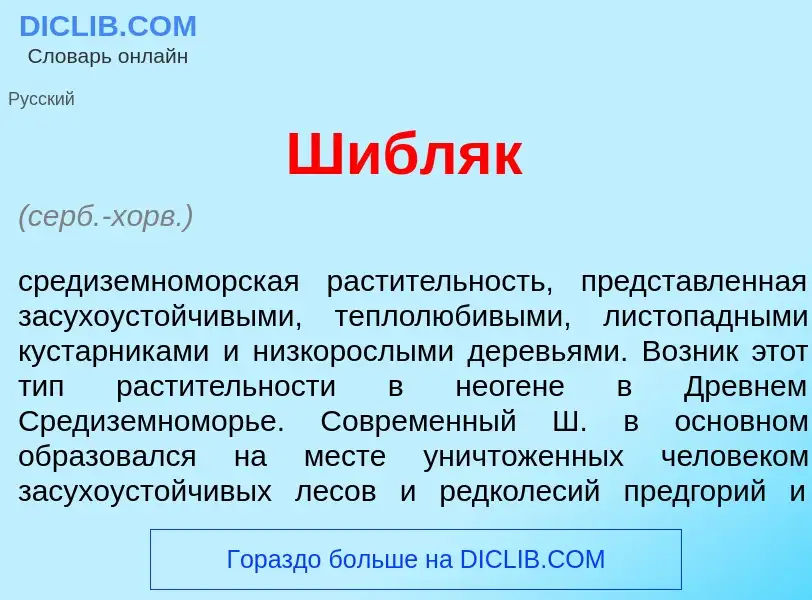 Что такое Шибл<font color="red">я</font>к - определение