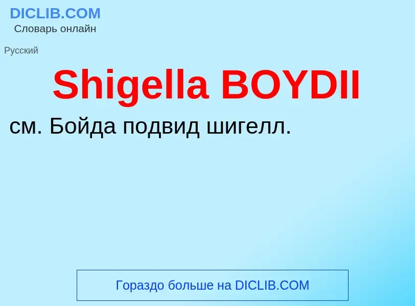 Che cos'è Shigella BOYDII - definizione