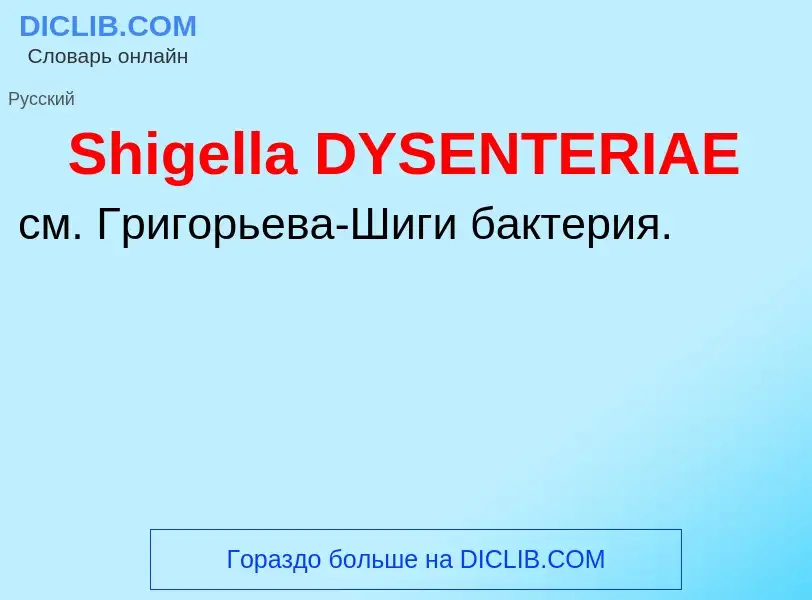 Che cos'è Shigella DYSENTERIAE - definizione