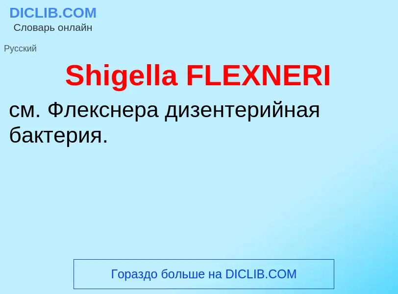 Che cos'è Shigella FLEXNERI - definizione