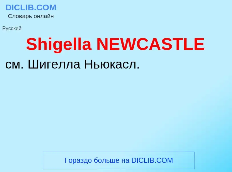 Che cos'è Shigella NEWCASTLE - definizione