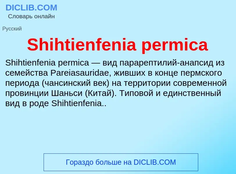 Che cos'è Shihtienfenia permica - definizione