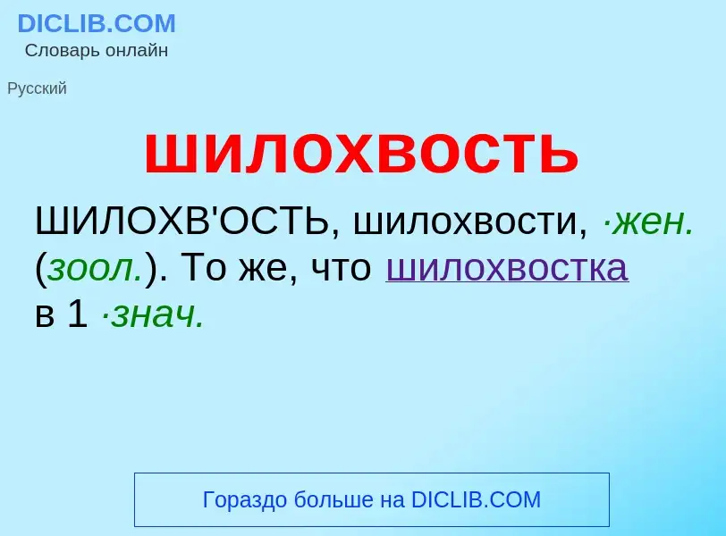 O que é шилохвость - definição, significado, conceito