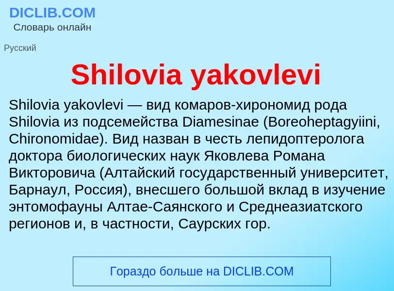 Che cos'è Shilovia yakovlevi - definizione