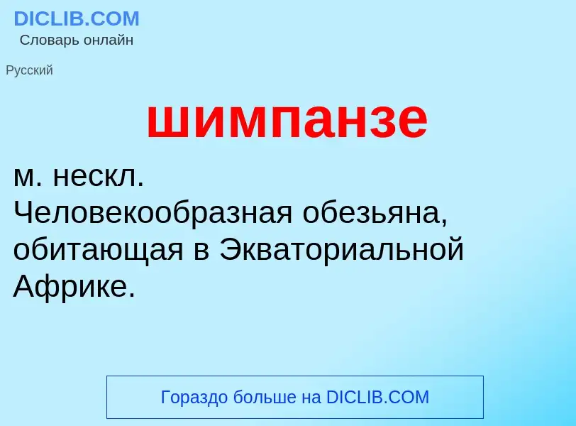 ¿Qué es шимпанзе? - significado y definición