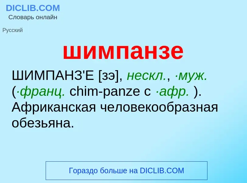 Wat is шимпанзе - definition