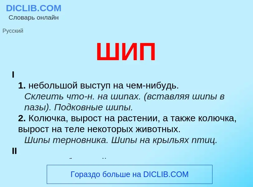 Wat is ШИП - definition