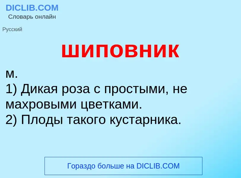 Was ist шиповник - Definition