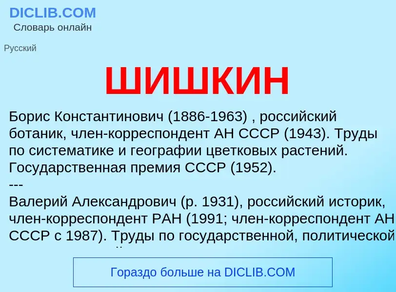 What is ШИШКИН - definition