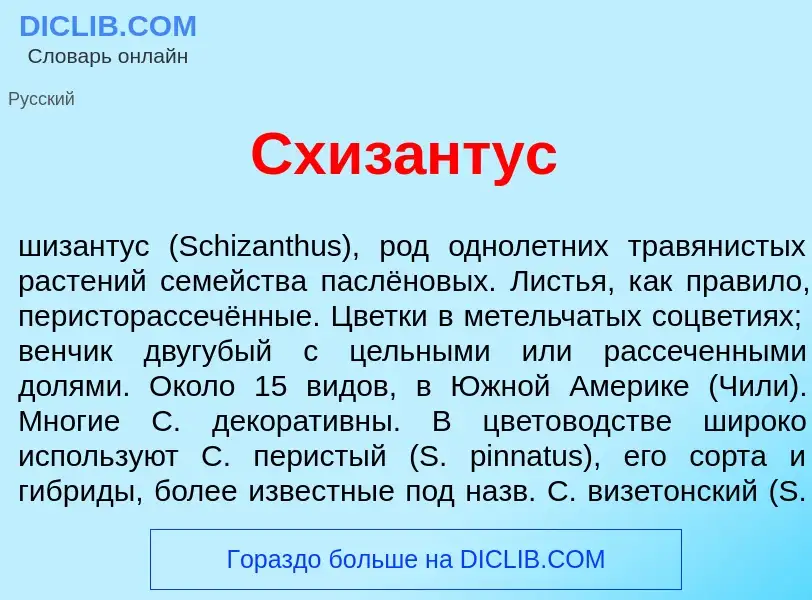 Wat is Схиз<font color="red">а</font>нтус - definition