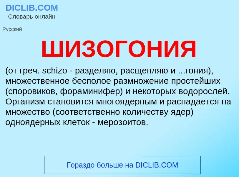 What is ШИЗОГОНИЯ - definition