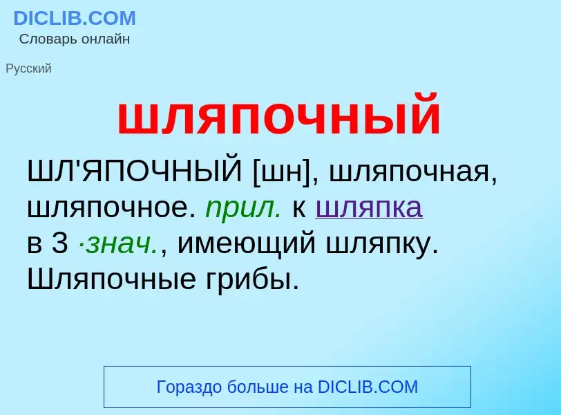 O que é шляпочный - definição, significado, conceito