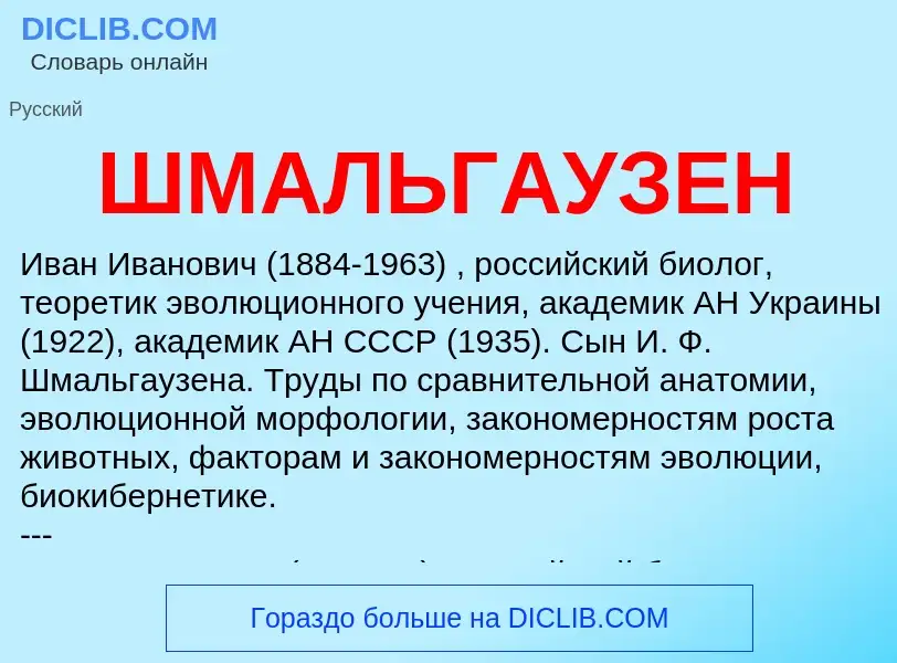 What is ШМАЛЬГАУЗЕН - meaning and definition