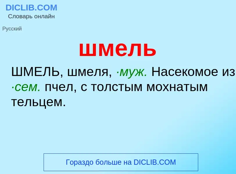 O que é шмель - definição, significado, conceito