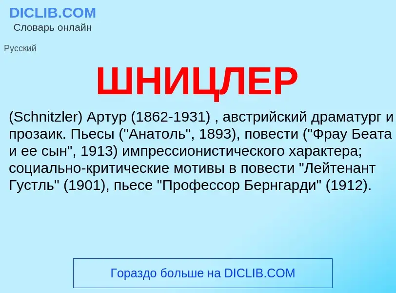 Was ist ШНИЦЛЕР - Definition