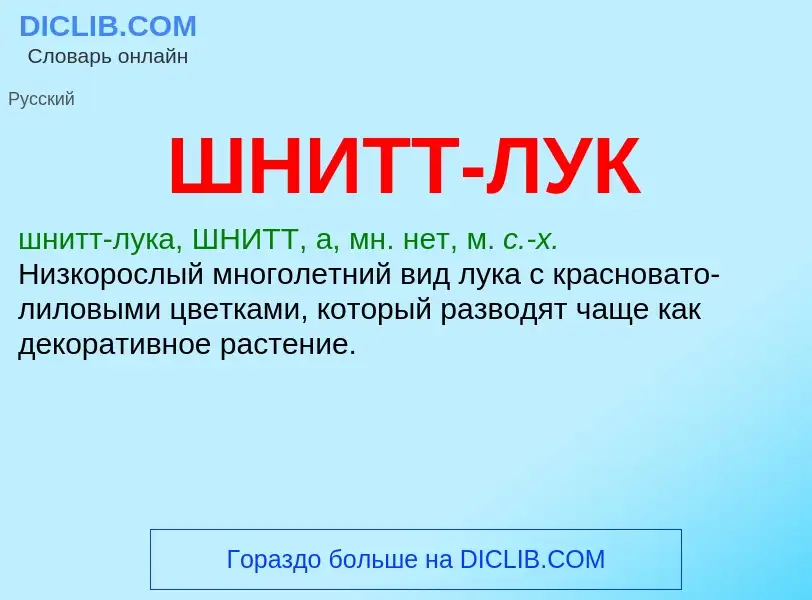 Was ist ШНИТТ-ЛУК - Definition