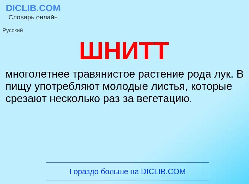 Was ist ШНИТТ - Definition