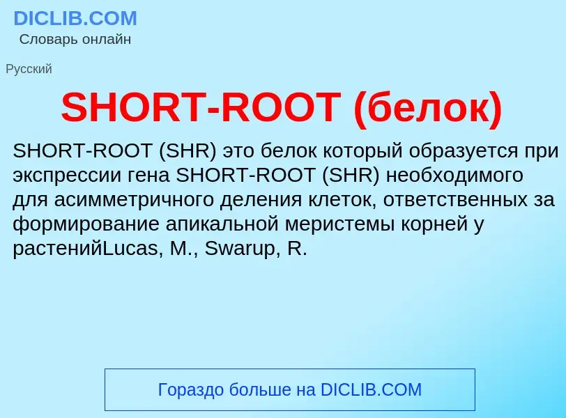 Что такое SHORT-ROOT (белок) - определение