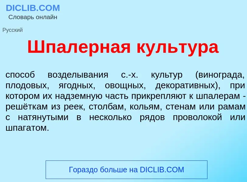 Wat is Шпал<font color="red">е</font>рная культ<font color="red">у</font>ра - definition