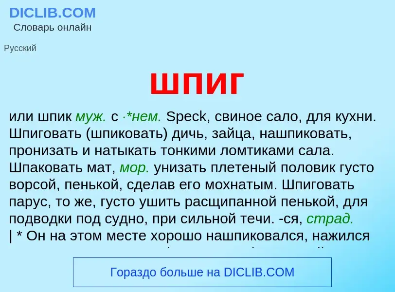 O que é шпиг - definição, significado, conceito