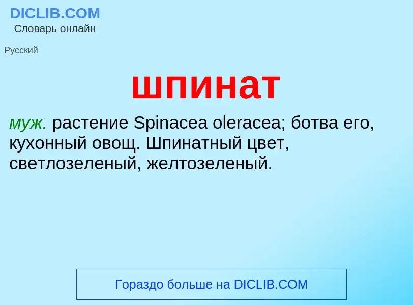O que é шпинат - definição, significado, conceito