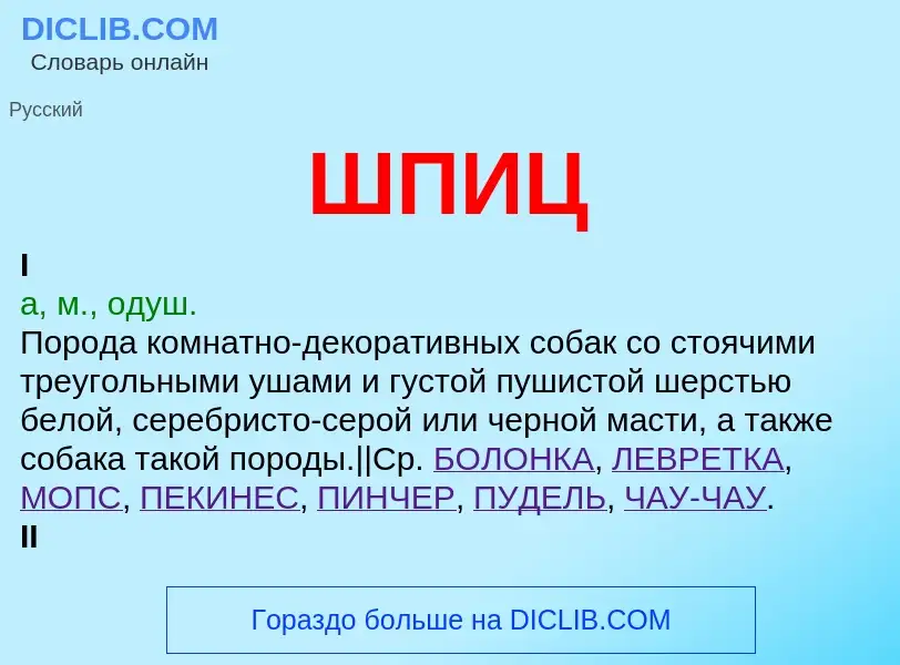 O que é ШПИЦ - definição, significado, conceito