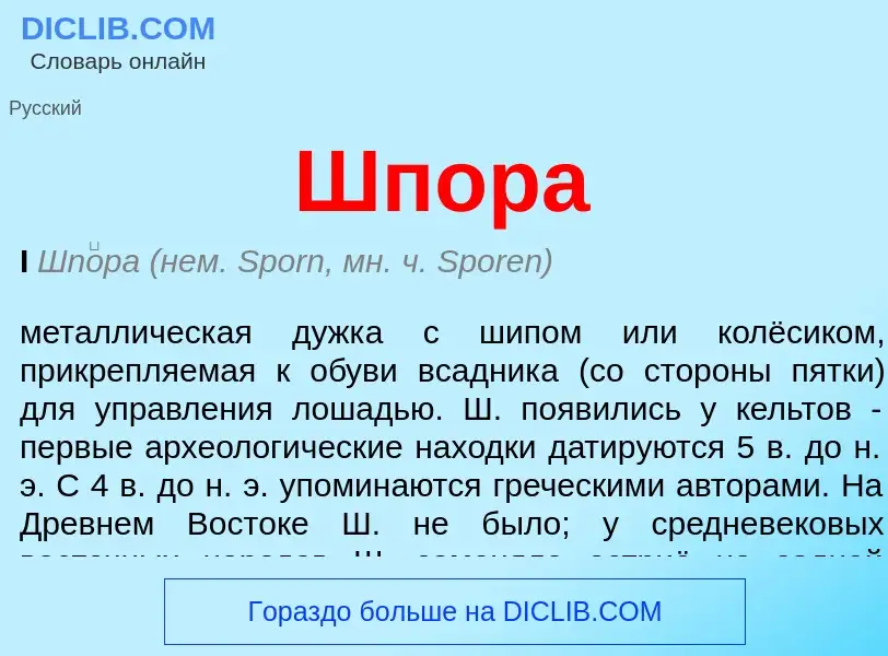 Was ist Шпора - Definition