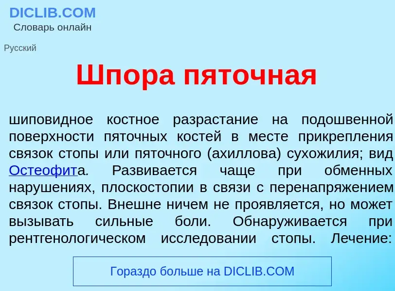 Что такое Шп<font color="red">о</font>ра п<font color="red">я</font>точная - определение