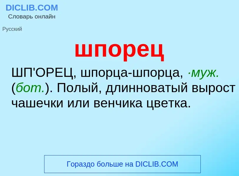 O que é шпорец - definição, significado, conceito