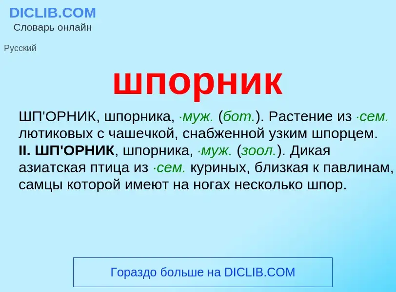 O que é шпорник - definição, significado, conceito