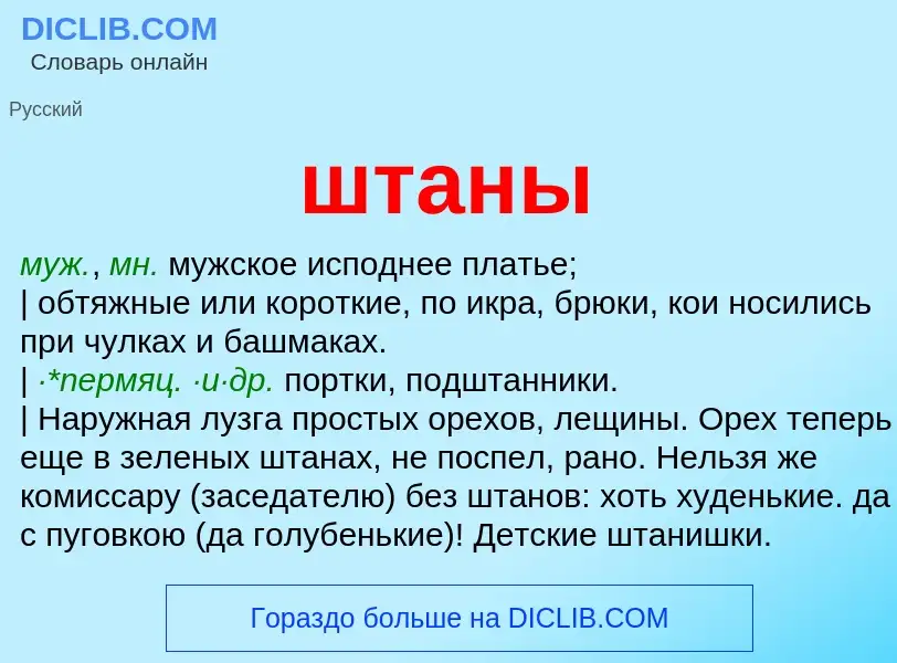 Что такое штаны - определение