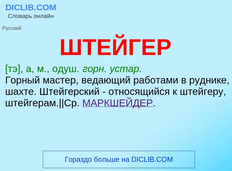 Что такое ШТЕЙГЕР - определение