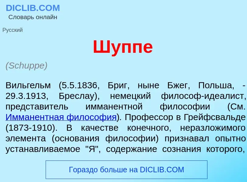 What is Ш<font color="red">у</font>ппе - definition