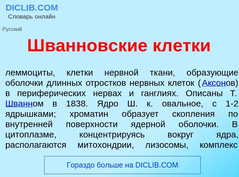 Что такое Шв<font color="red">а</font>нновские кл<font color="red">е</font>тки - определение