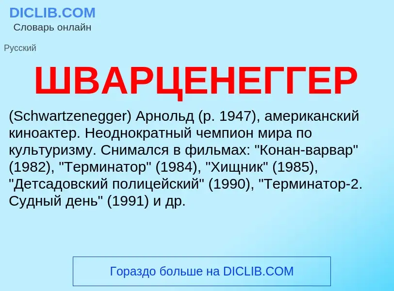 Was ist ШВАРЦЕНЕГГЕР - Definition