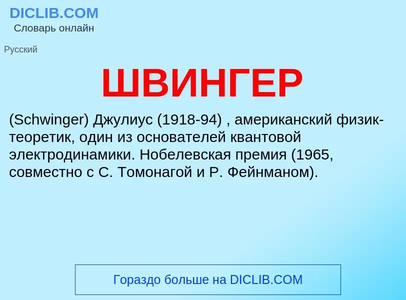 Wat is ШВИНГЕР - definition