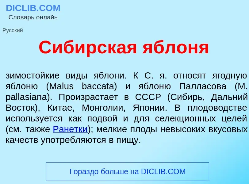 Что такое Сиб<font color="red">и</font>рская <font color="red">я</font>блоня - определение